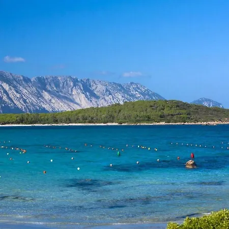 4br With Private Pool In San Teodoro - What'app - 0049-1551-0224-169 - For Reservations! San Teodoro (Sardinia)