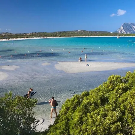 4br With Private Pool In San Teodoro - What'app - 0049-1551-0224-169 - For Reservations!